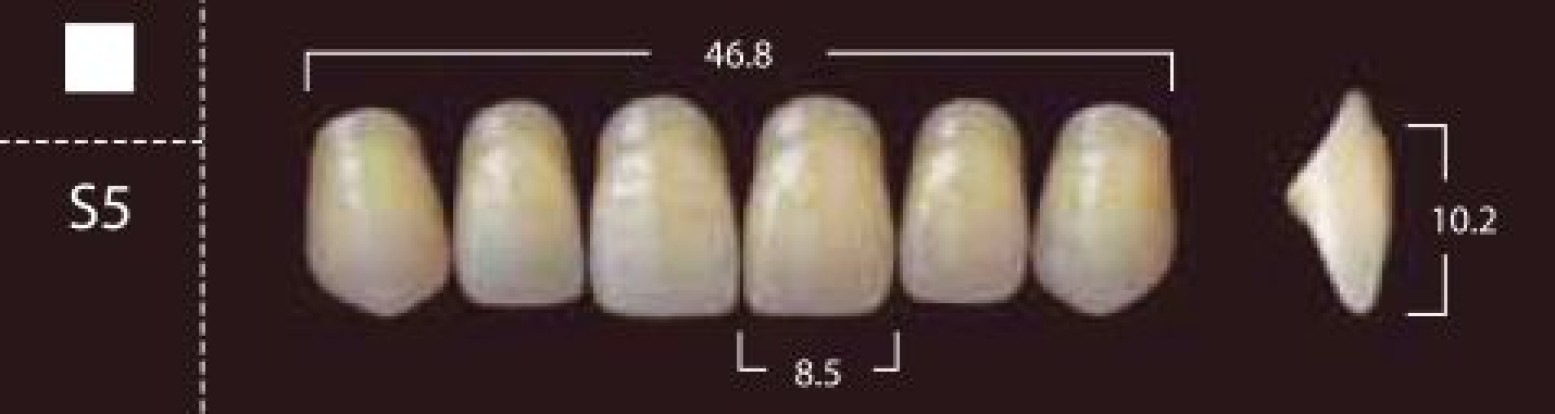 Зубы фронтальные  Ямахачи Yamahachi, 6шт. (Япония )